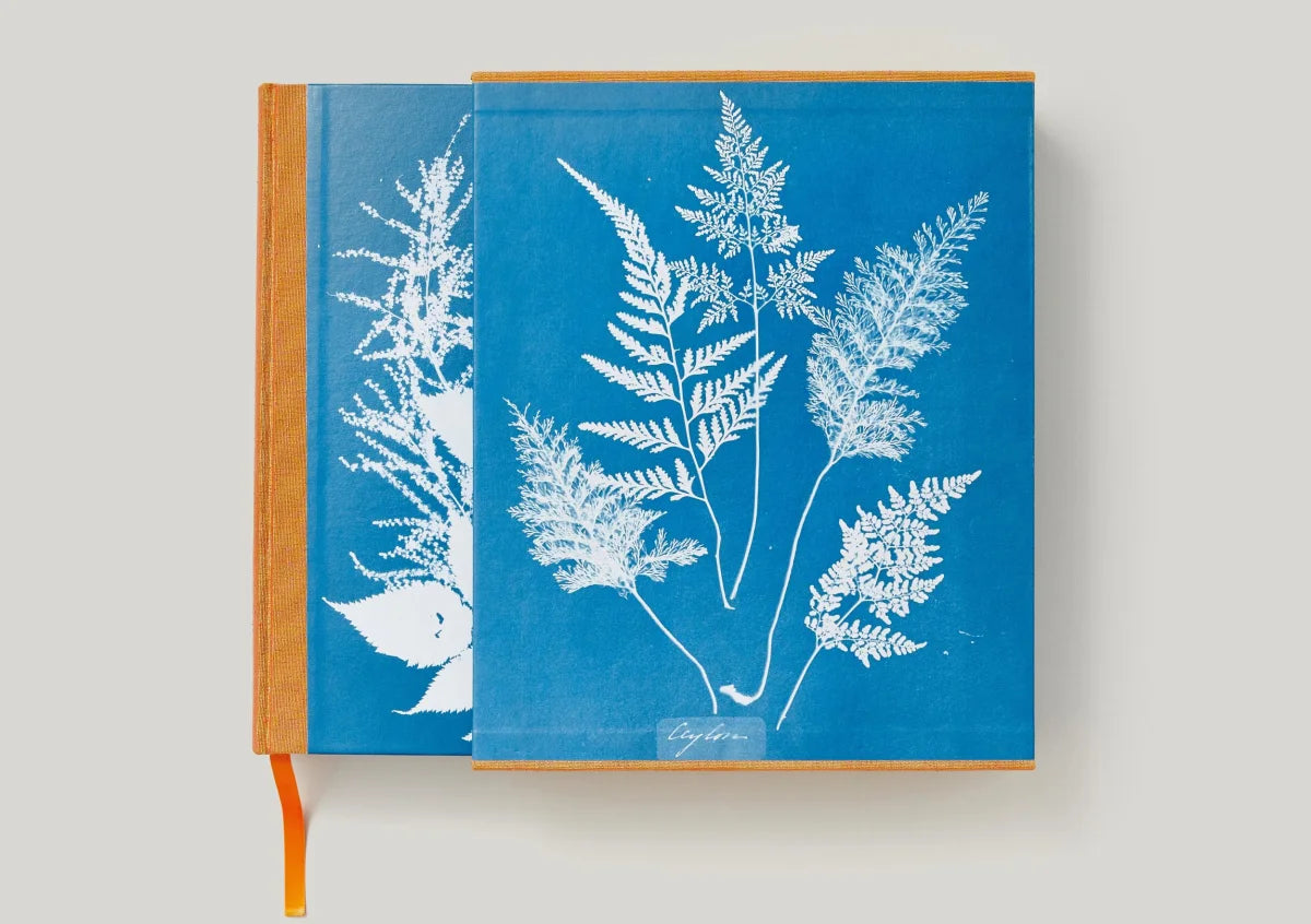 Anna Atkins Cyanotypes