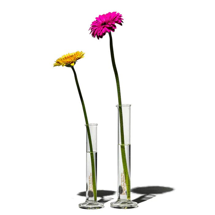 Beaker Bud Vase