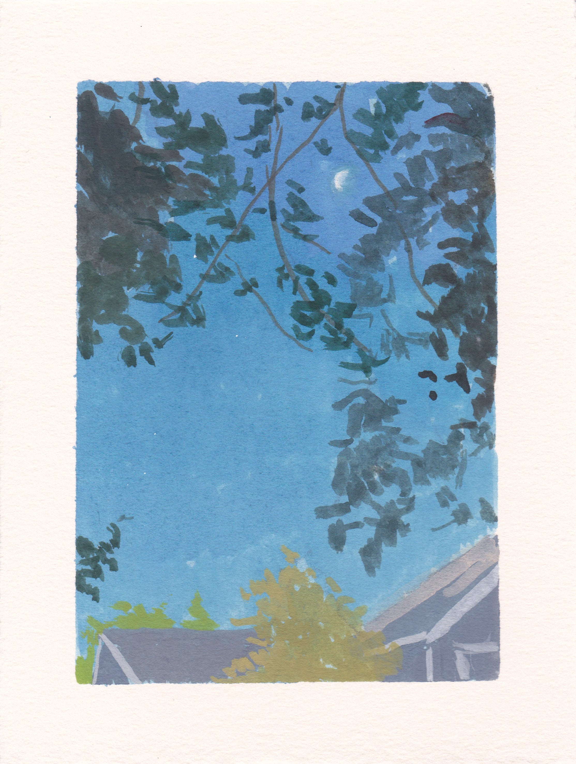 Windy Morning - May 19th
