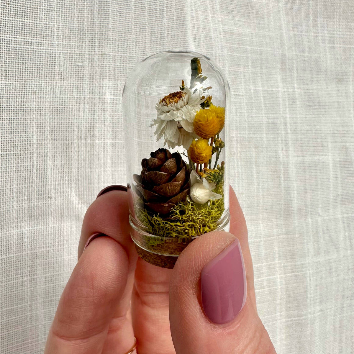 Honeyglow Mini Terrarium Cottagecore  & Spring Dried Florals