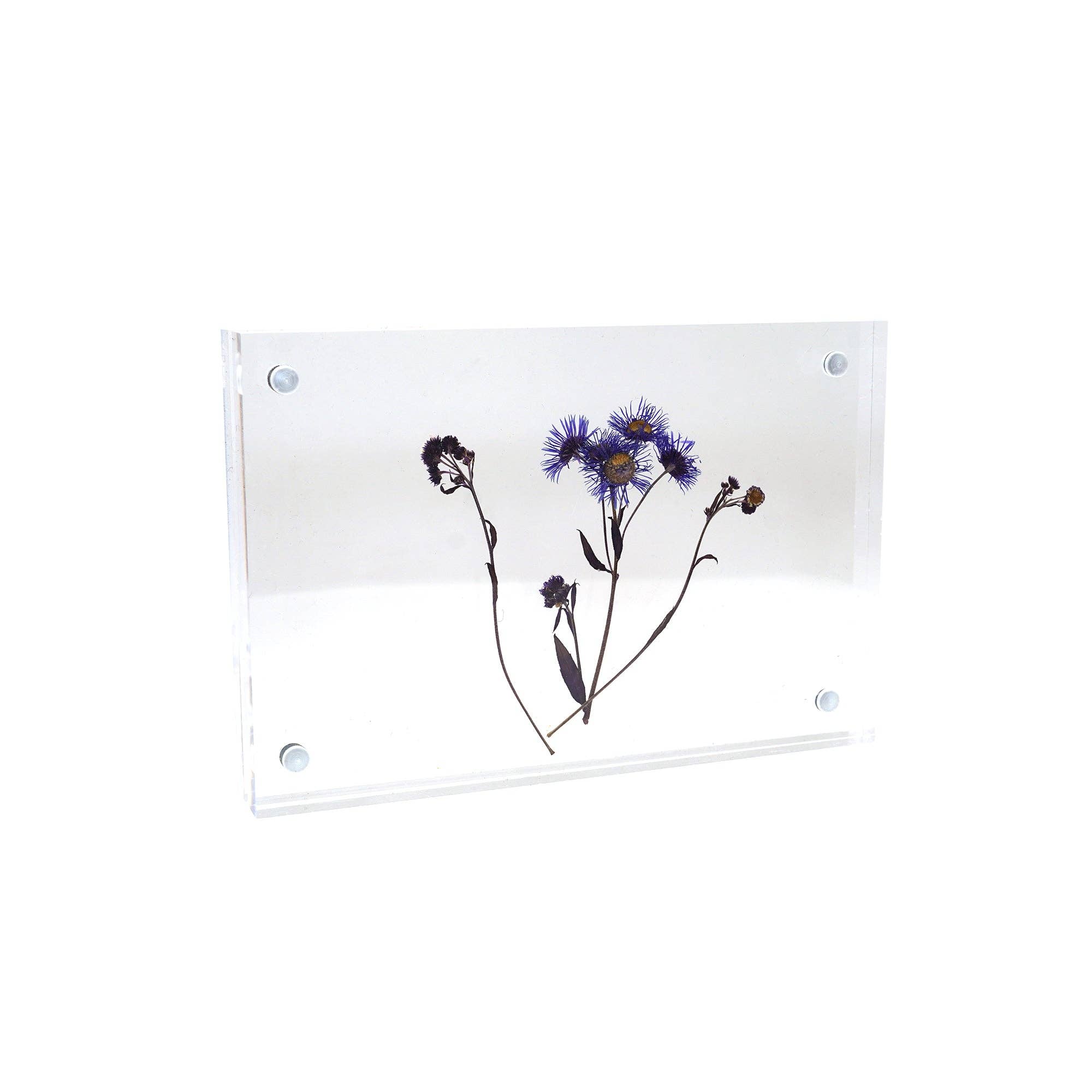 Acrylic Standing Frame- 4"x6"