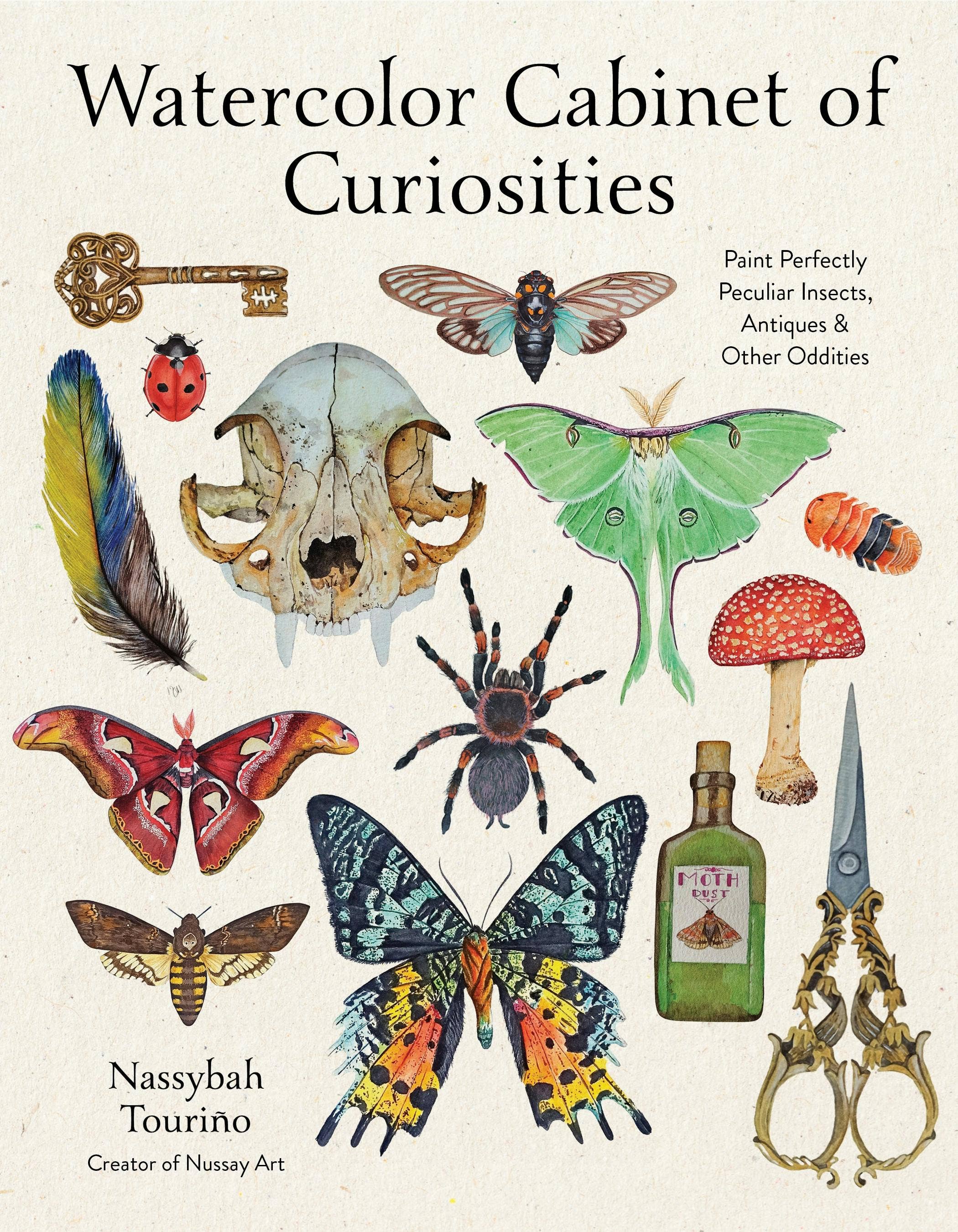 Watercolor Cabinet Of Curiosities