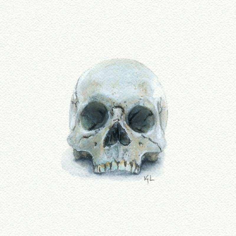 Skull Miniature Watercolor Painting - Art Print