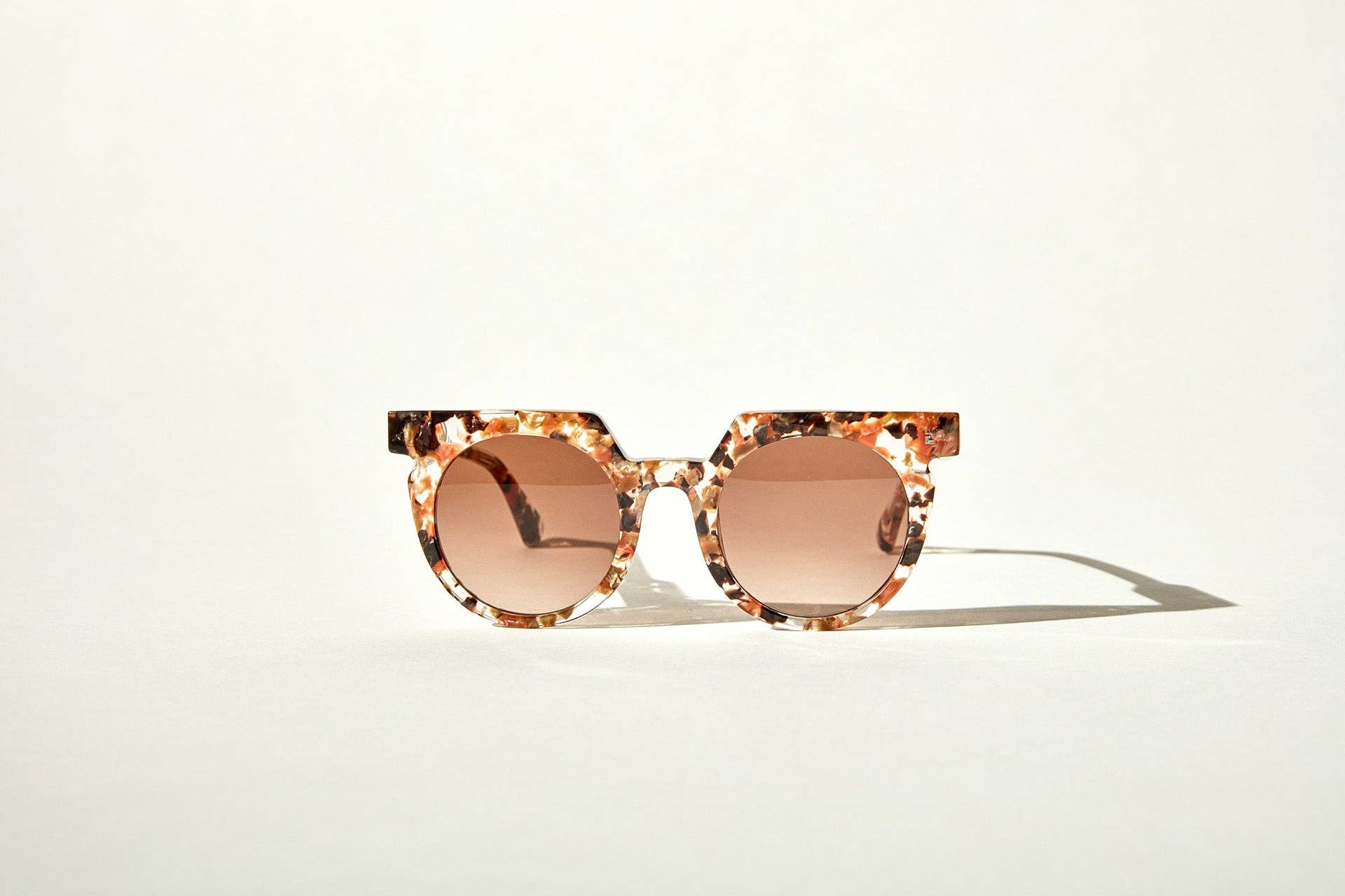 SARDINE - Aster - Terra Fawna Tortoise Shell Sunglasses
