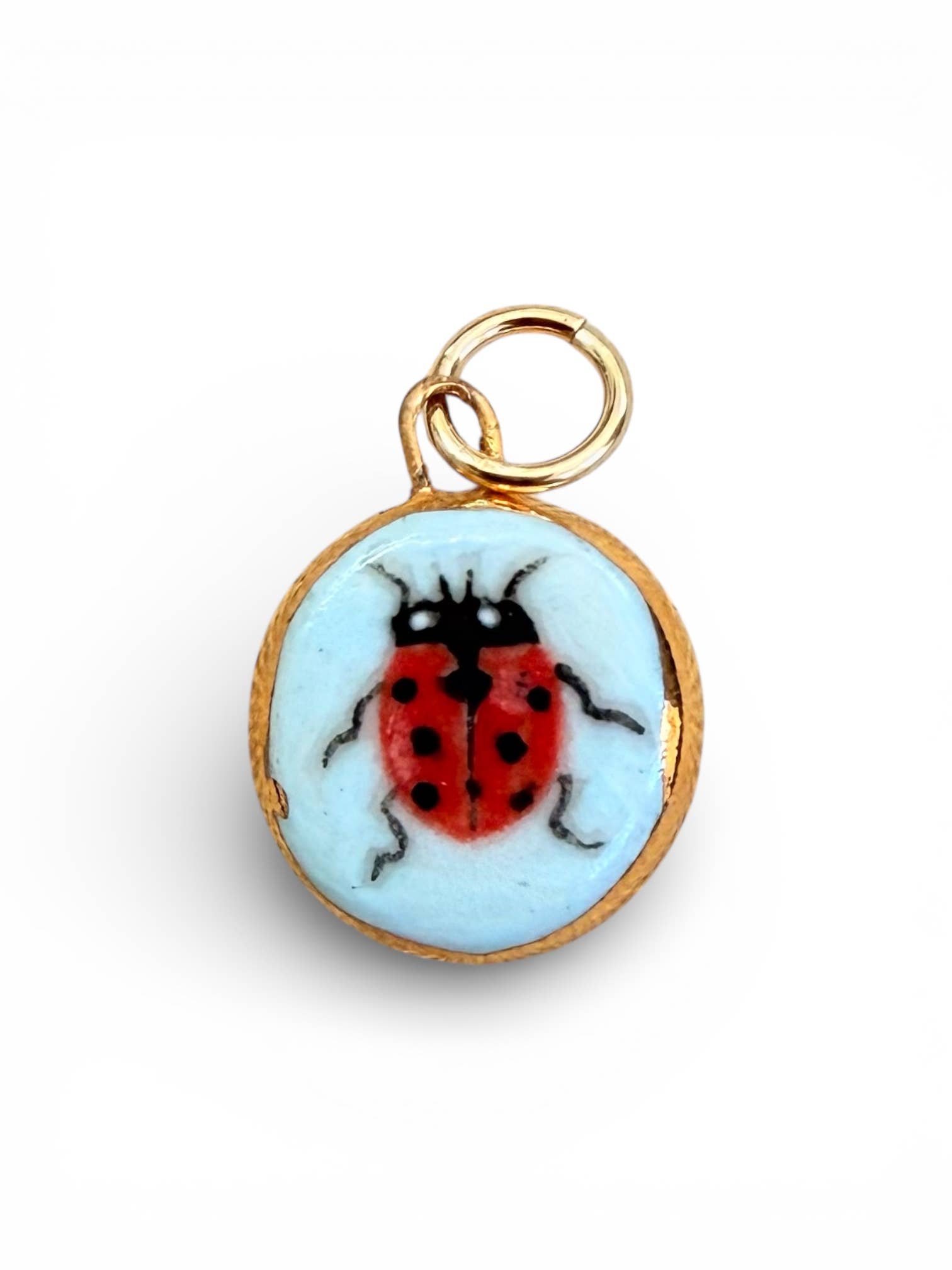 Ladybug Charm