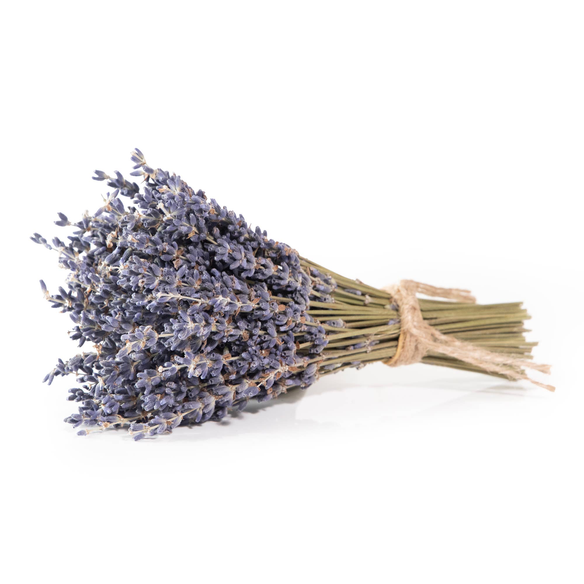 Petit Dried French Lavender Bundle