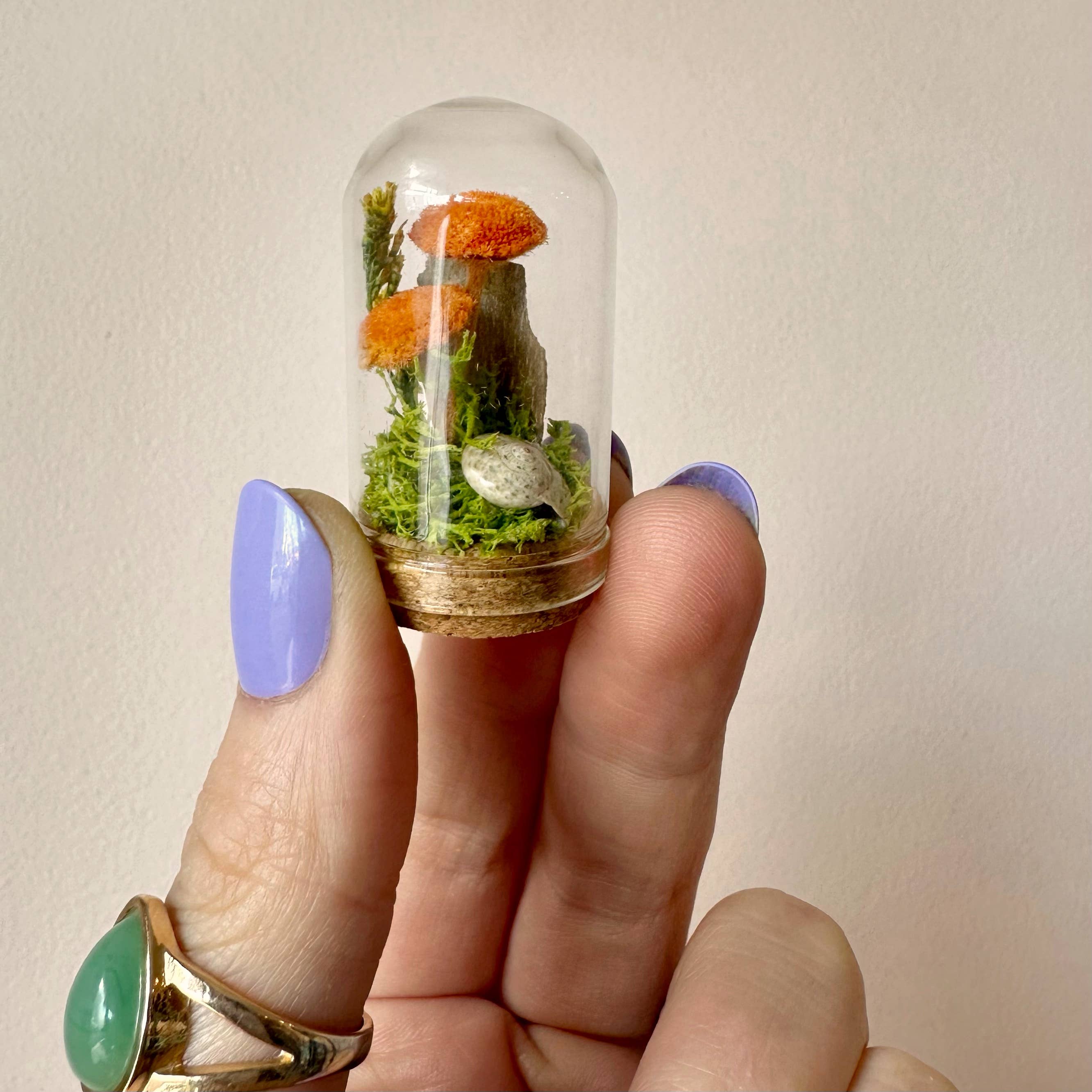 Orange Mushroom Fields Mini Glass Cloche Terrarium