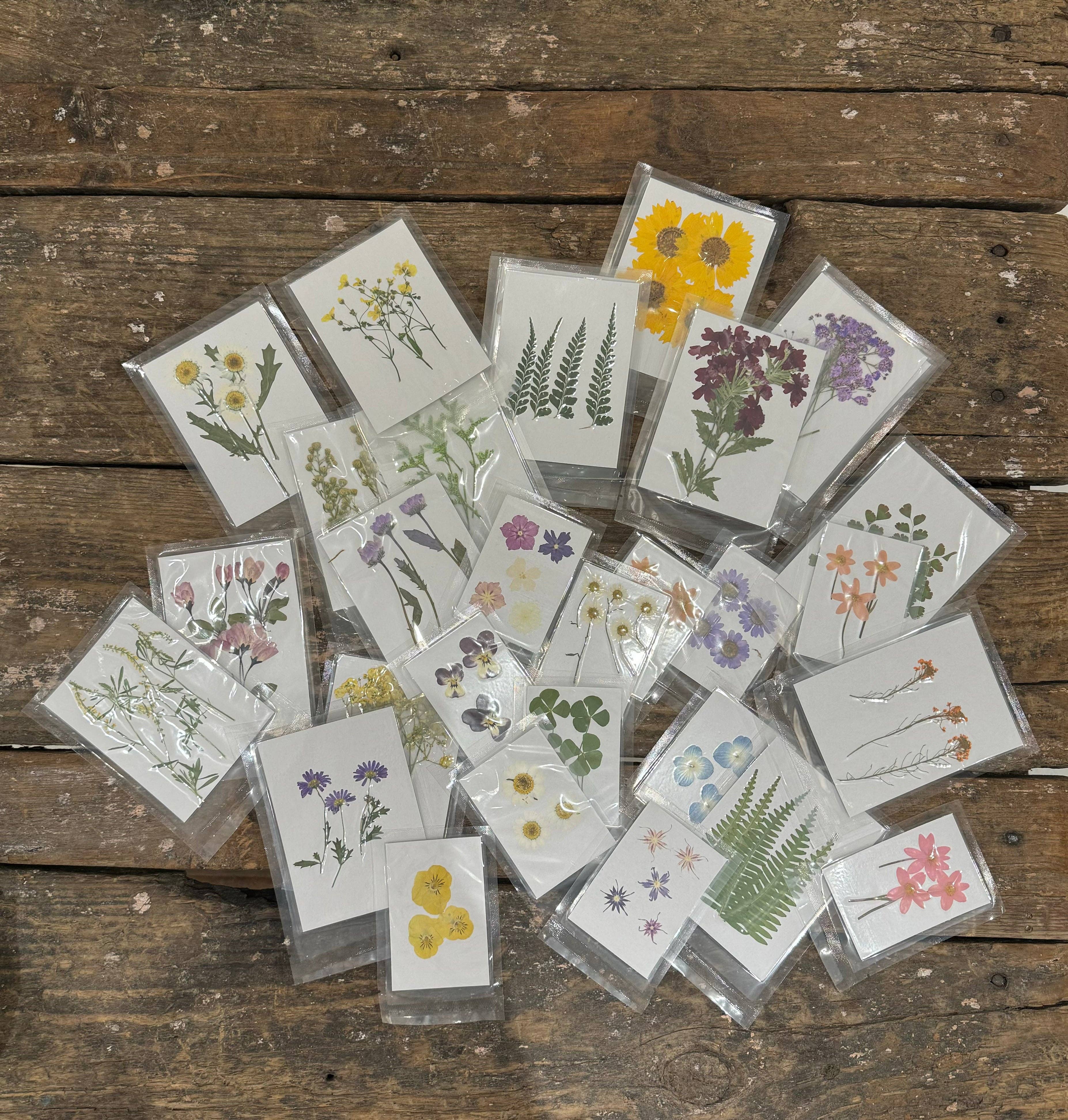 Pressed Botanicals