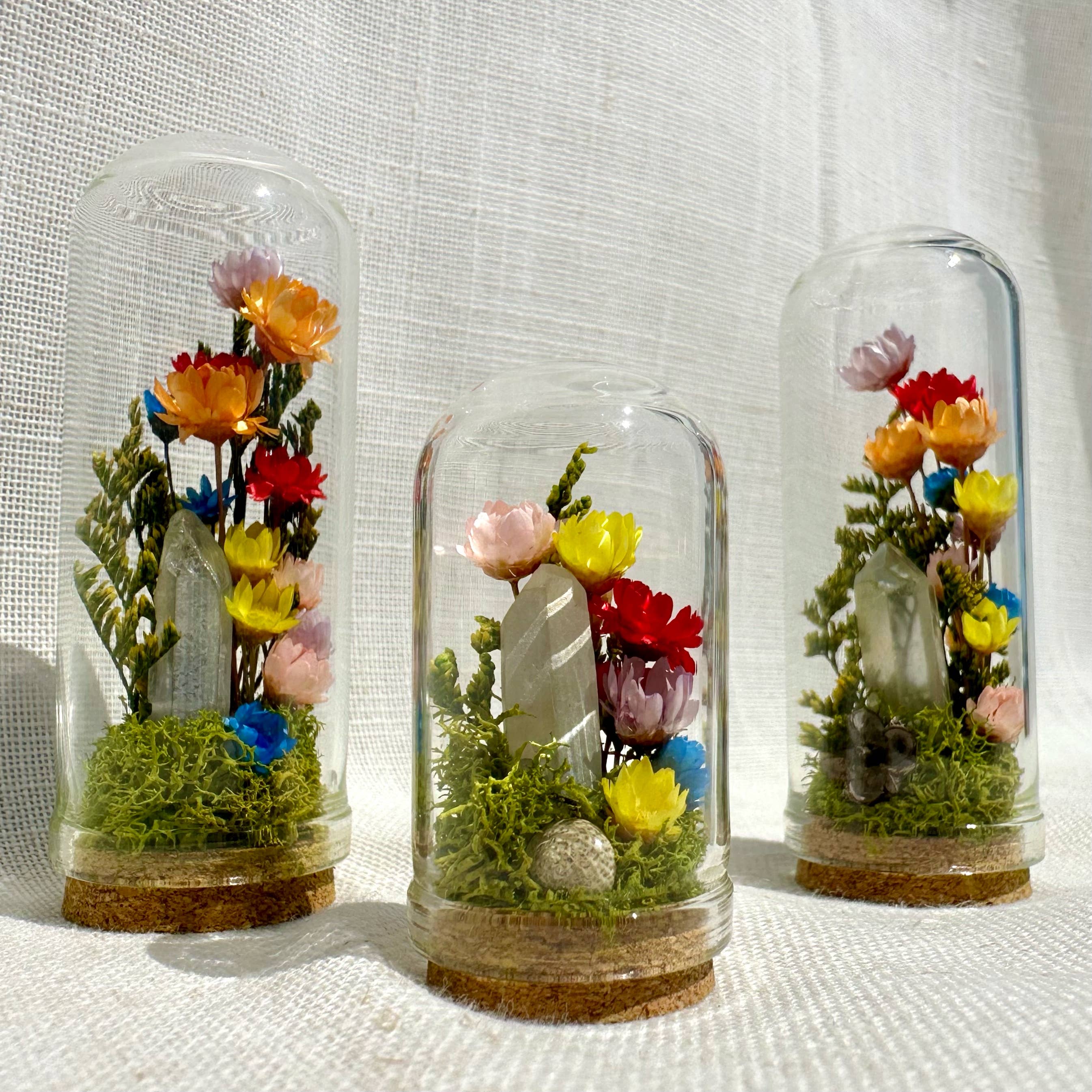 Rainbow Pride Flag Mini Cloche Terrarium w. Dried Florals