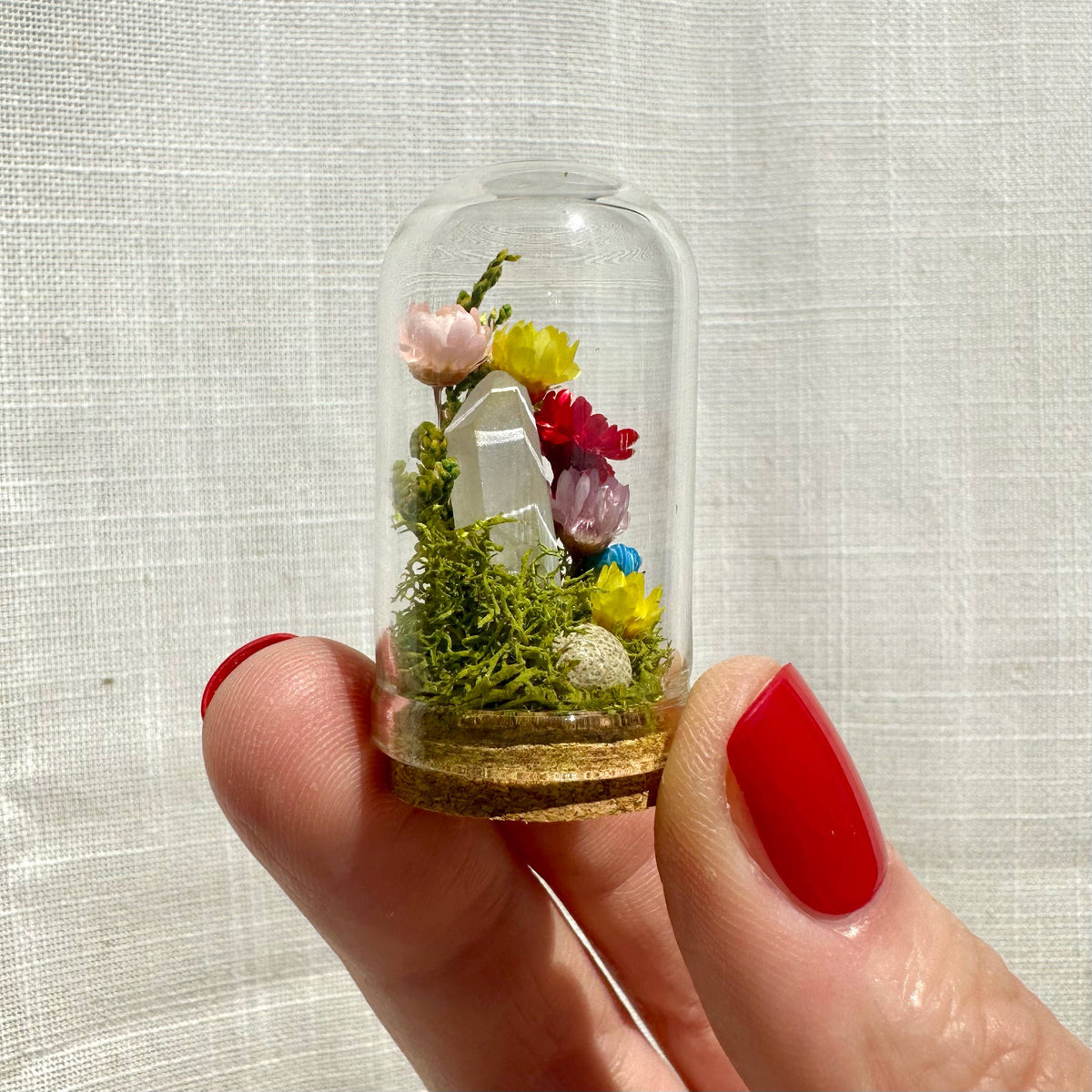 Rainbow Pride Flag Mini Cloche Terrarium w. Dried Florals