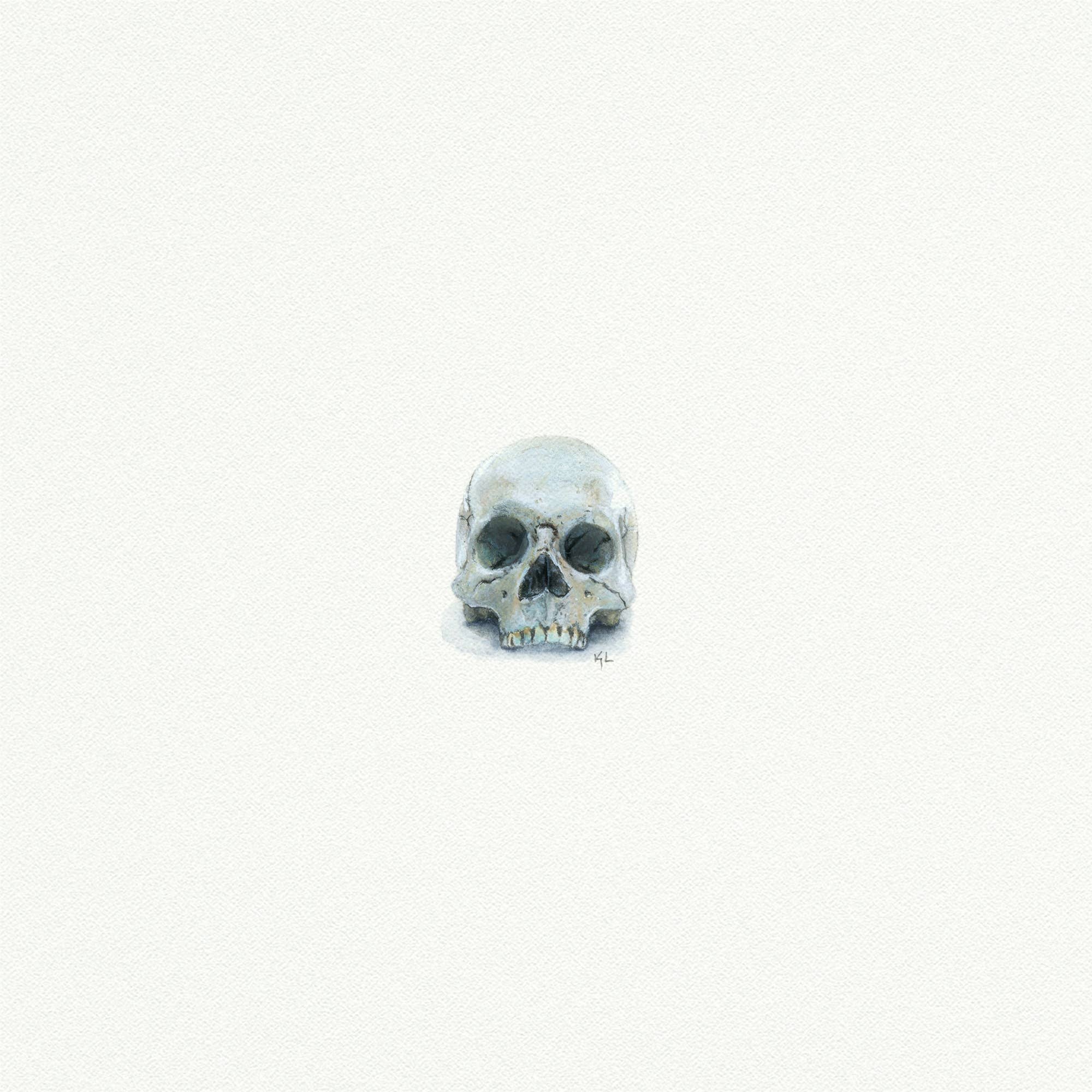 Skull Miniature Watercolor Painting - Art Print
