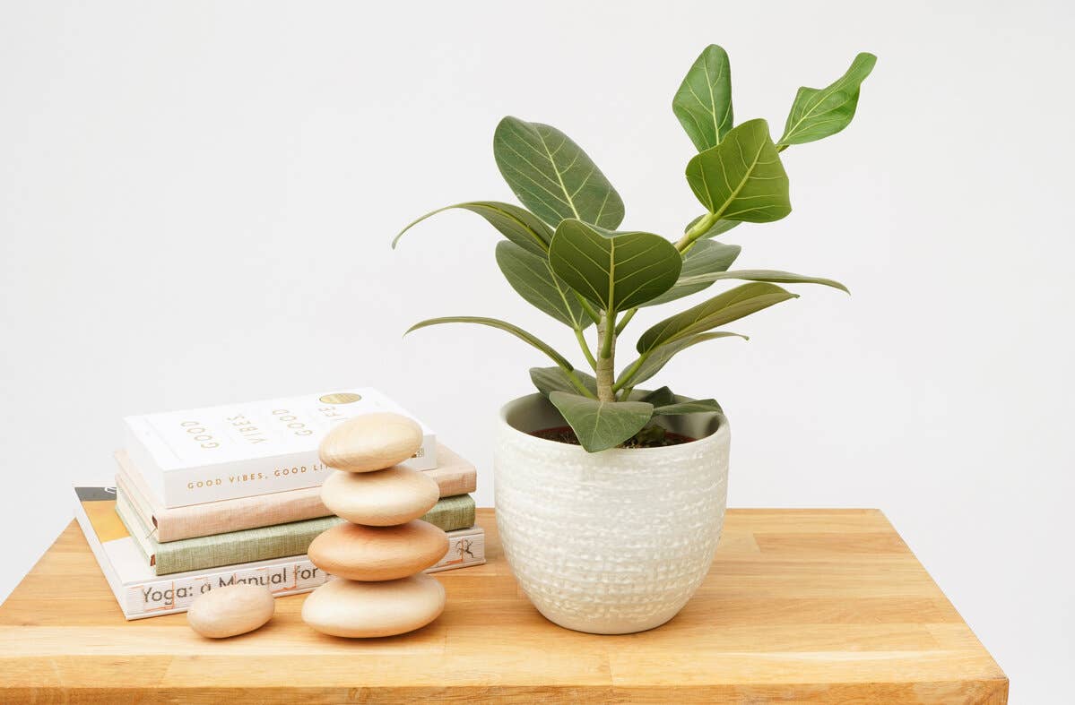 Balance - Relaxing wooden stacking stones