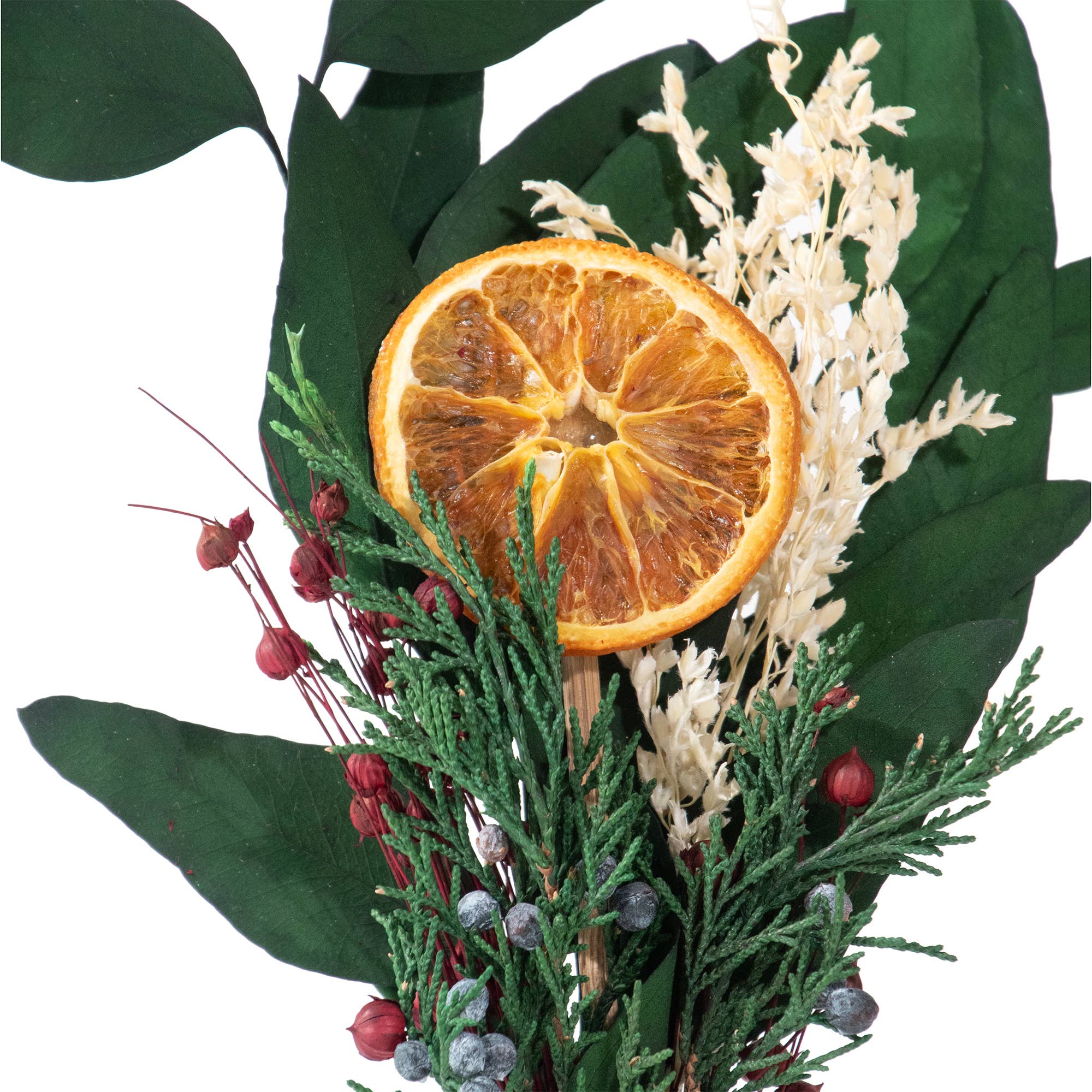 Preserved Winter Citrus Petit Bouquet