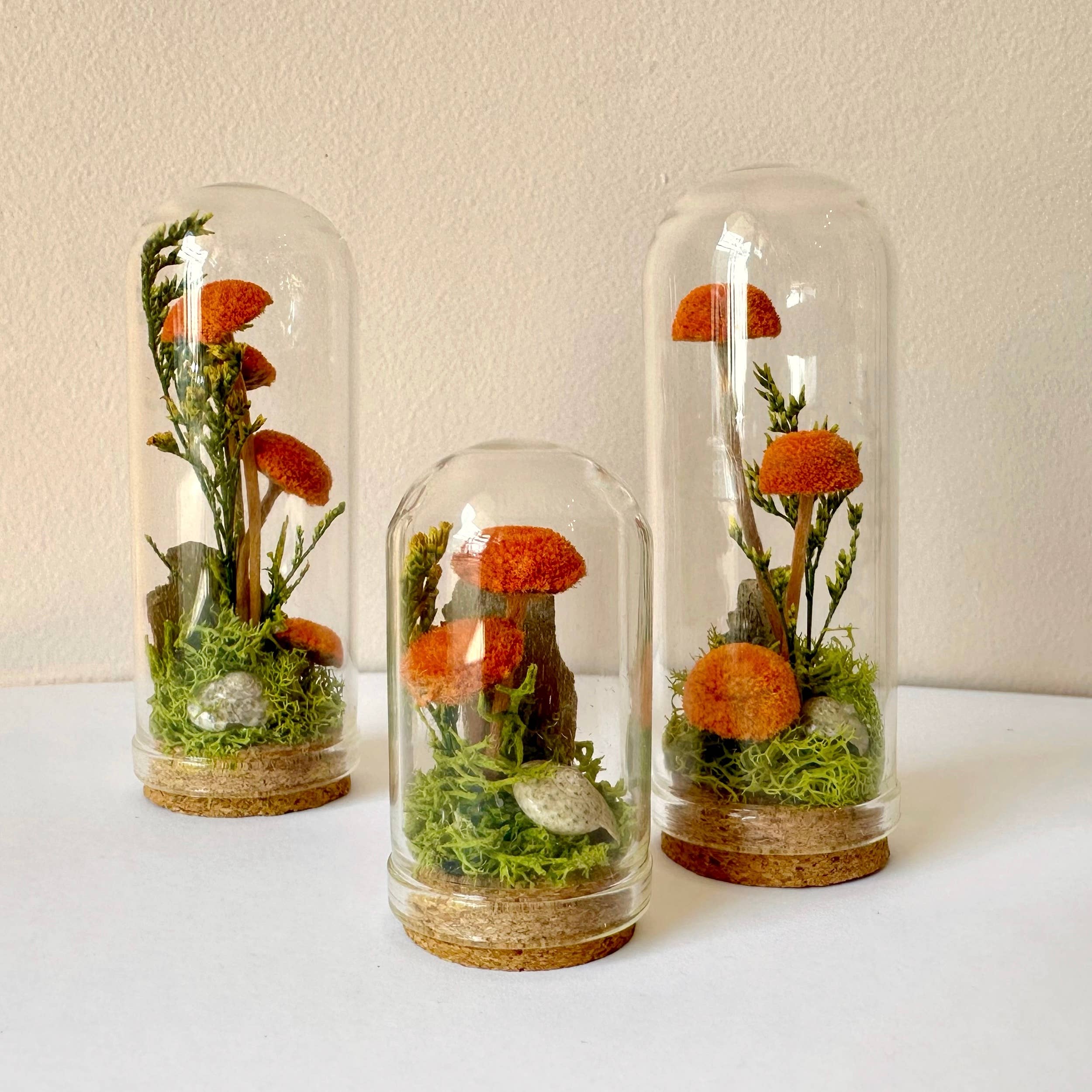 Orange Mushroom Fields Mini Glass Cloche Terrarium