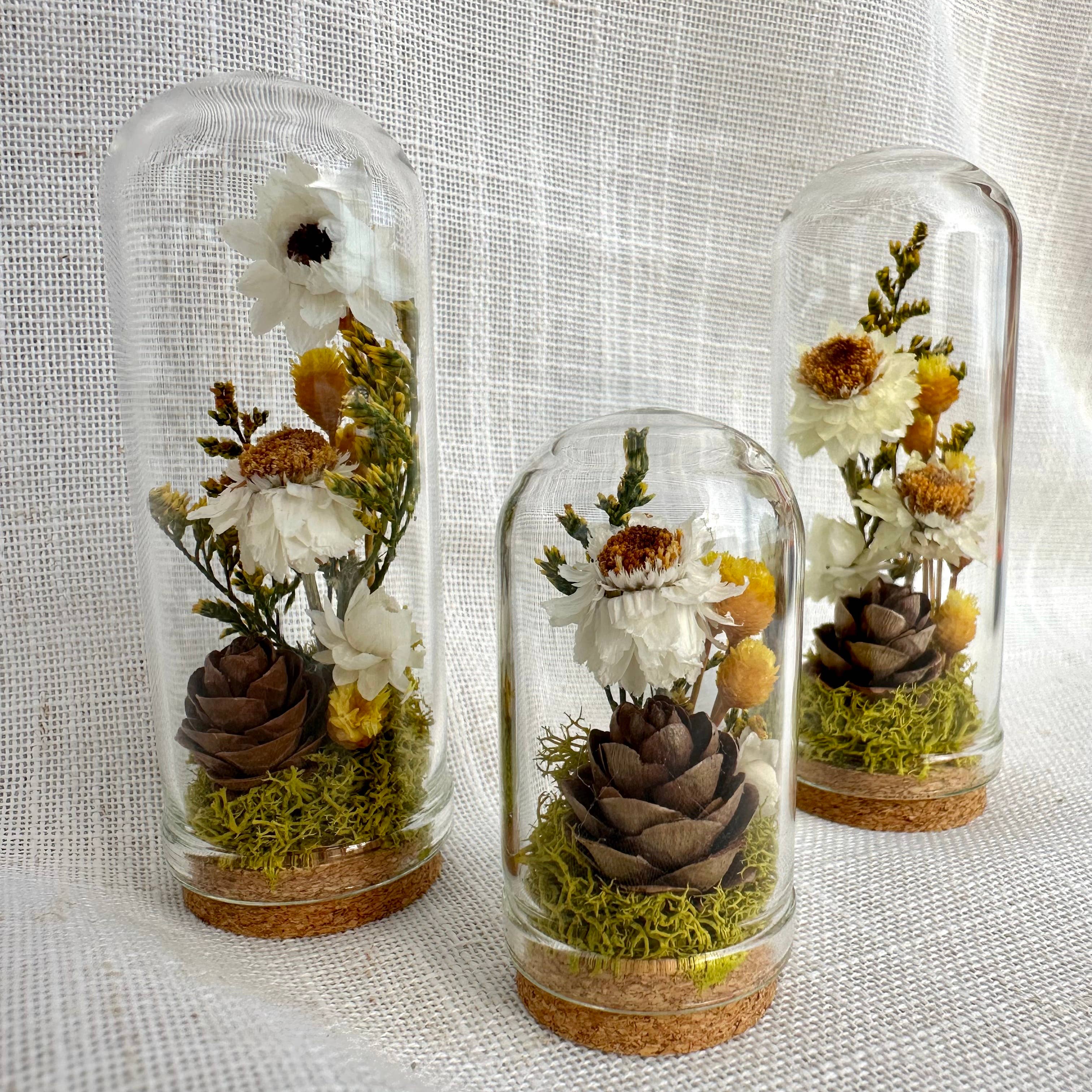 Honeyglow Mini Terrarium Cottagecore  & Spring Dried Florals