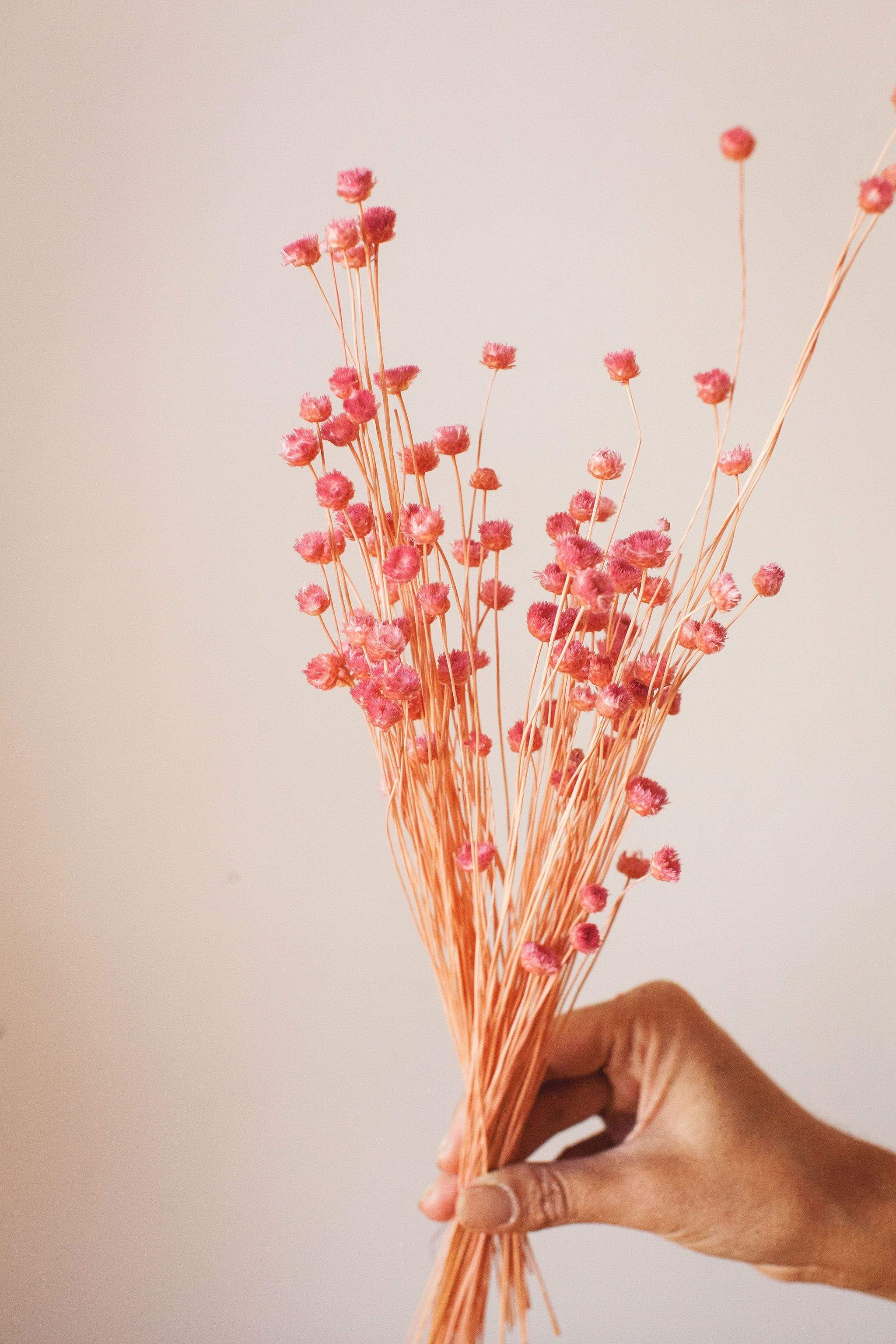 Pink Happy Flower