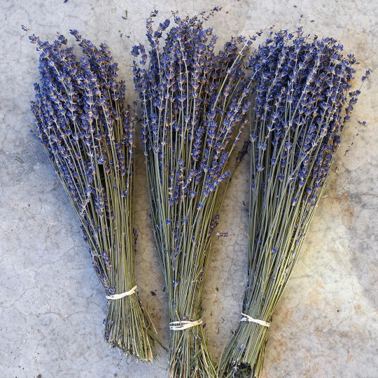 Dried Purple English Lavender (3oz bunch)