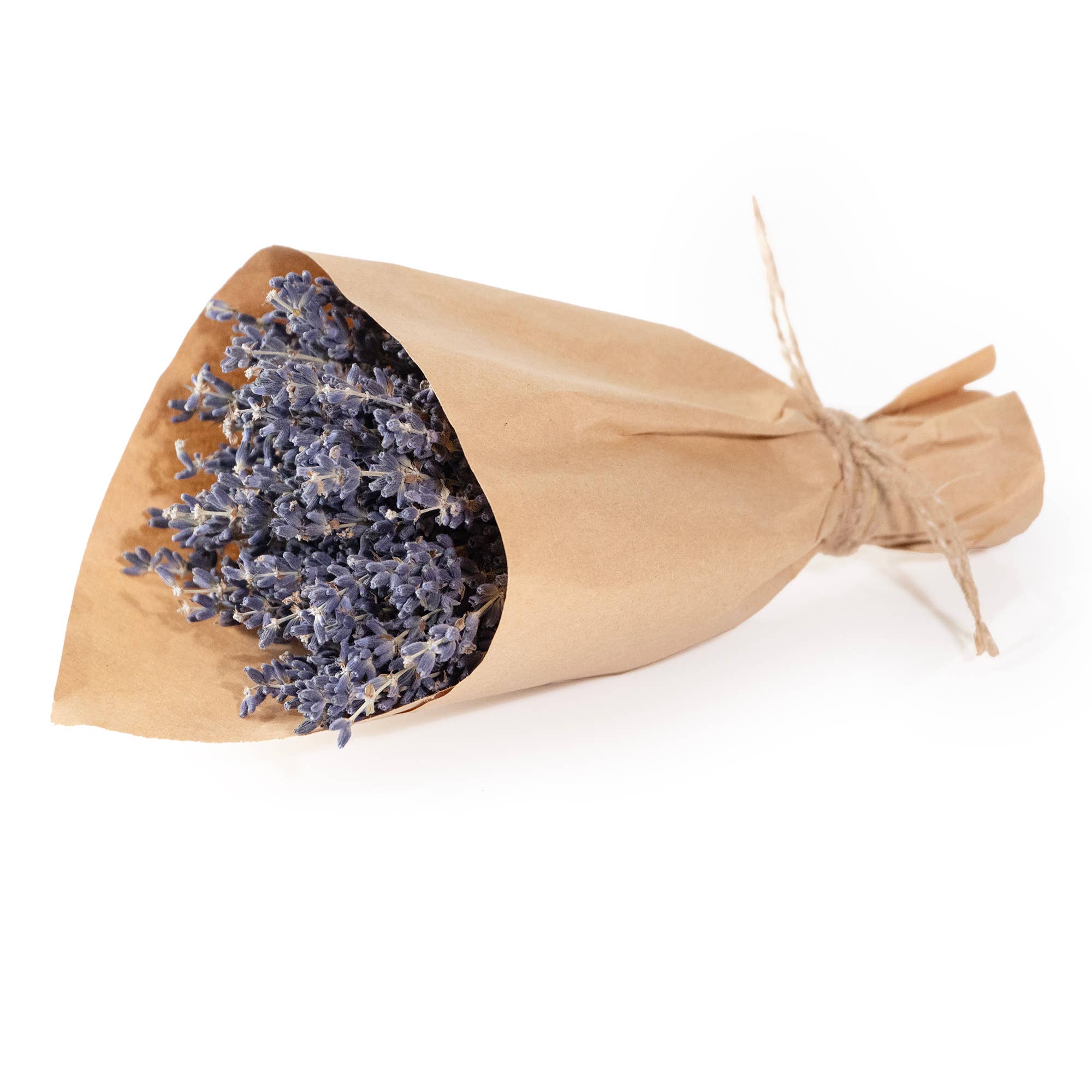 Petit Dried French Lavender Bundle