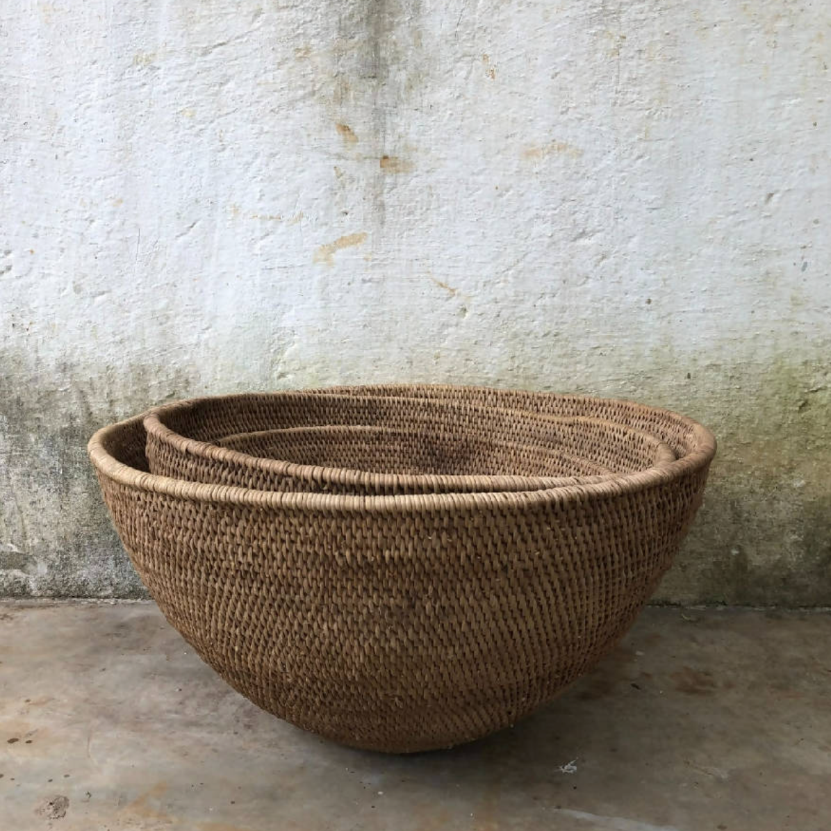 Buhera Harvest Bowls