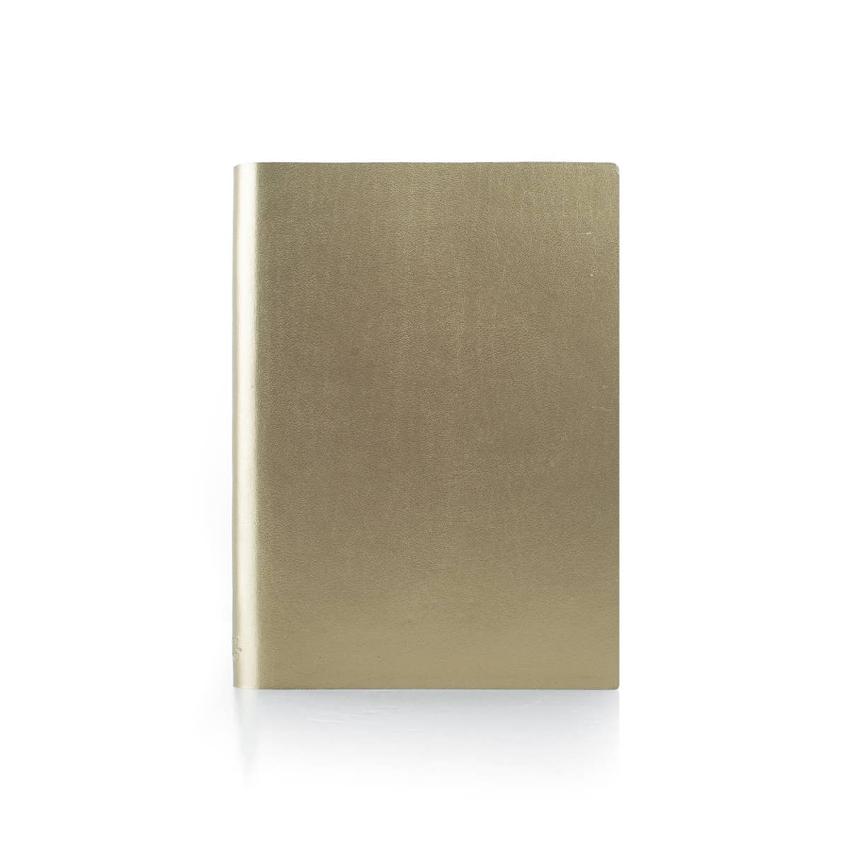 Eco Gold Recycled Leather Notebook Large