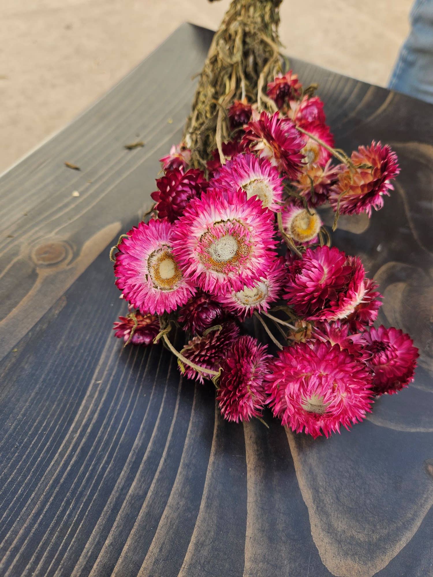 Dried Strawflowers | Wine